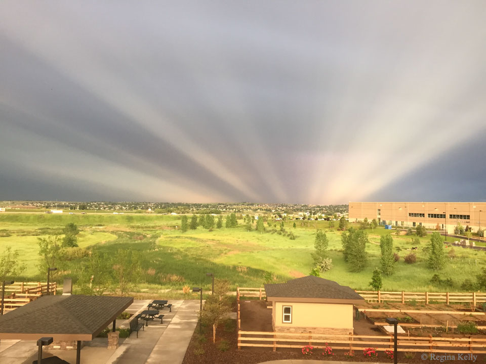 Anticrep02_Kelly_960.jpg