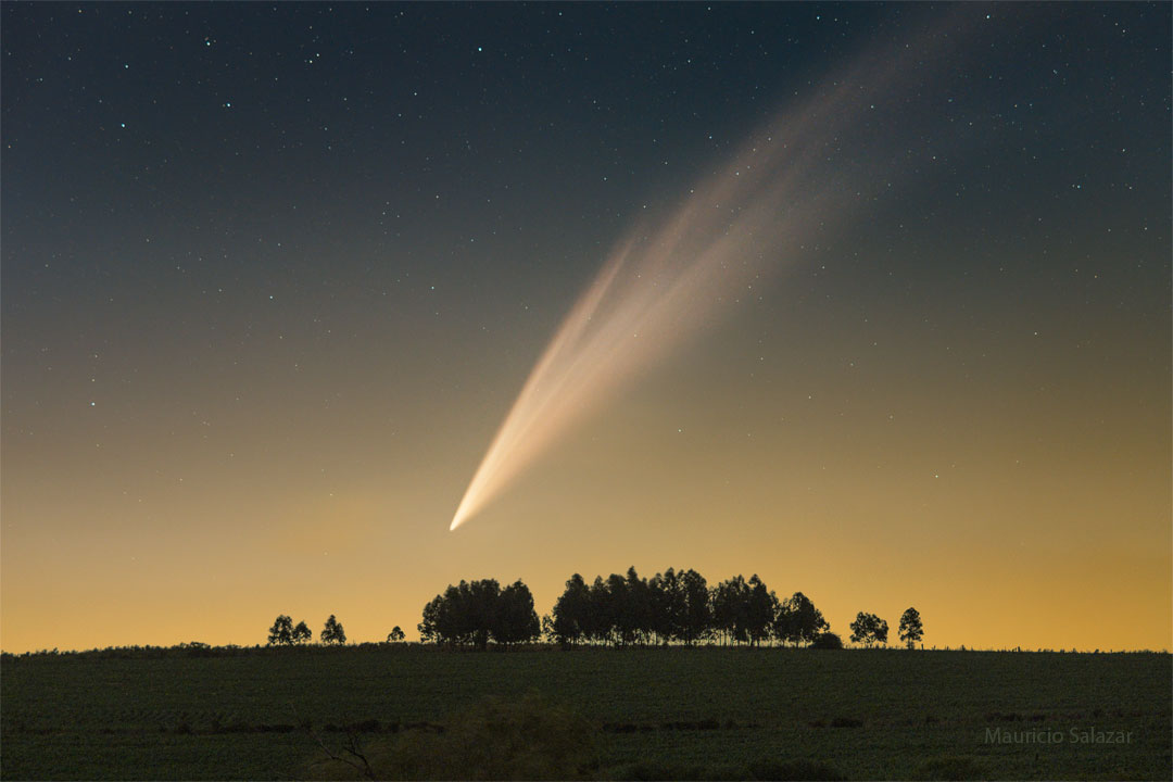 AtlasFields_Salazar_1080.jpg