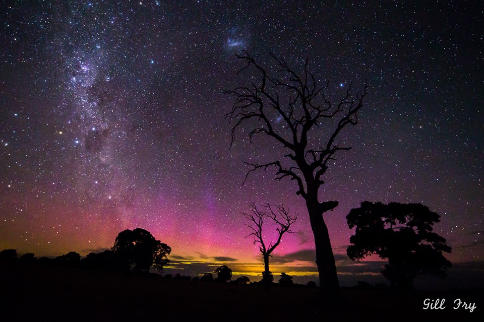 AuroraAustralis_Fry.jpg