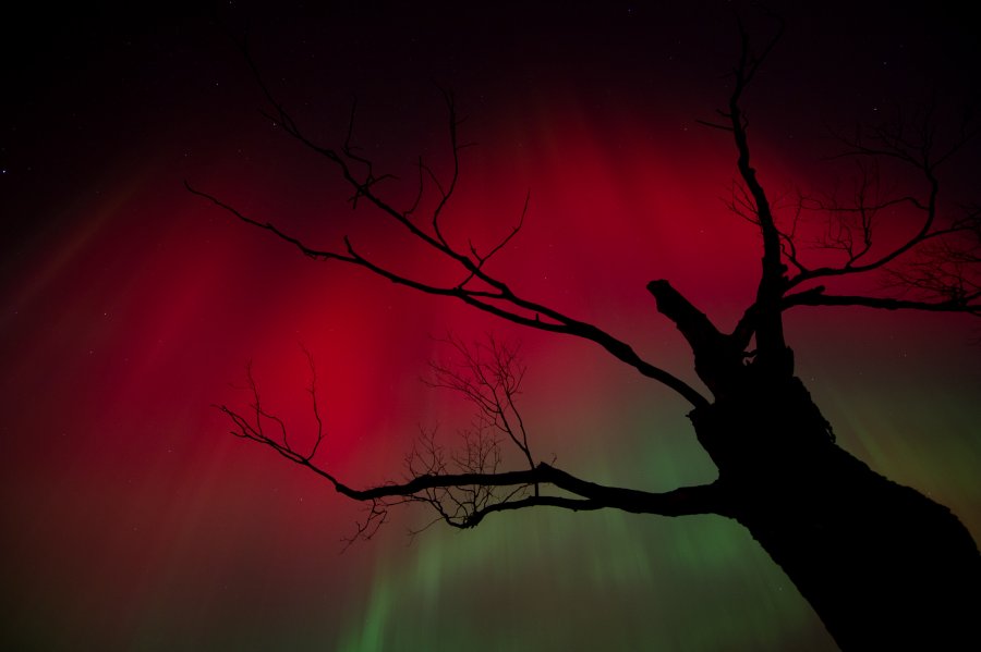 AuroraOntario_MPark900.jpg