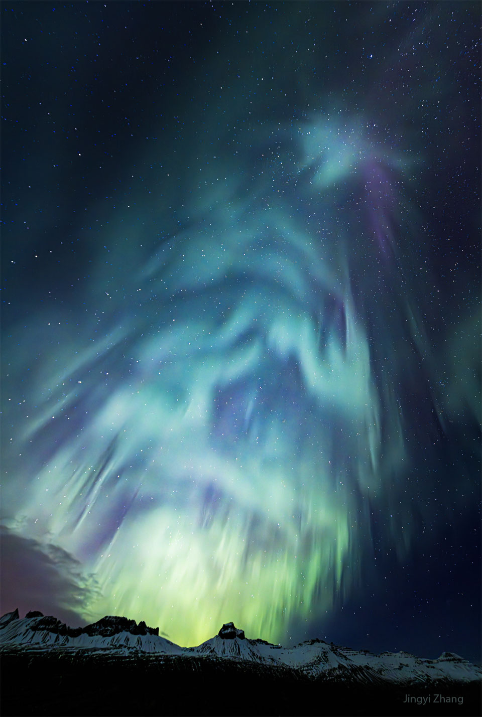 AuroraTree_Zhang_960.jpg