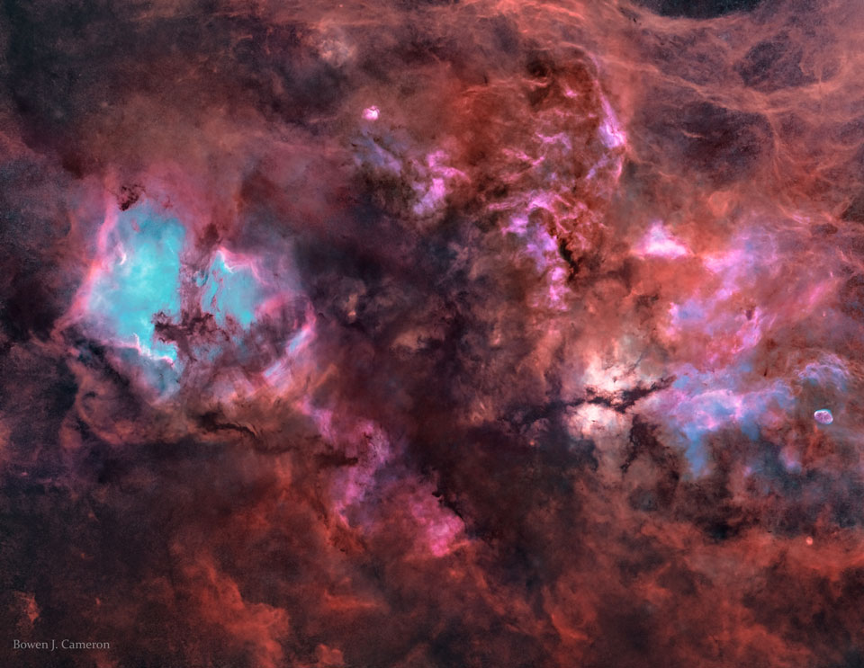 CygnusStarless_Cameron_960.jpg