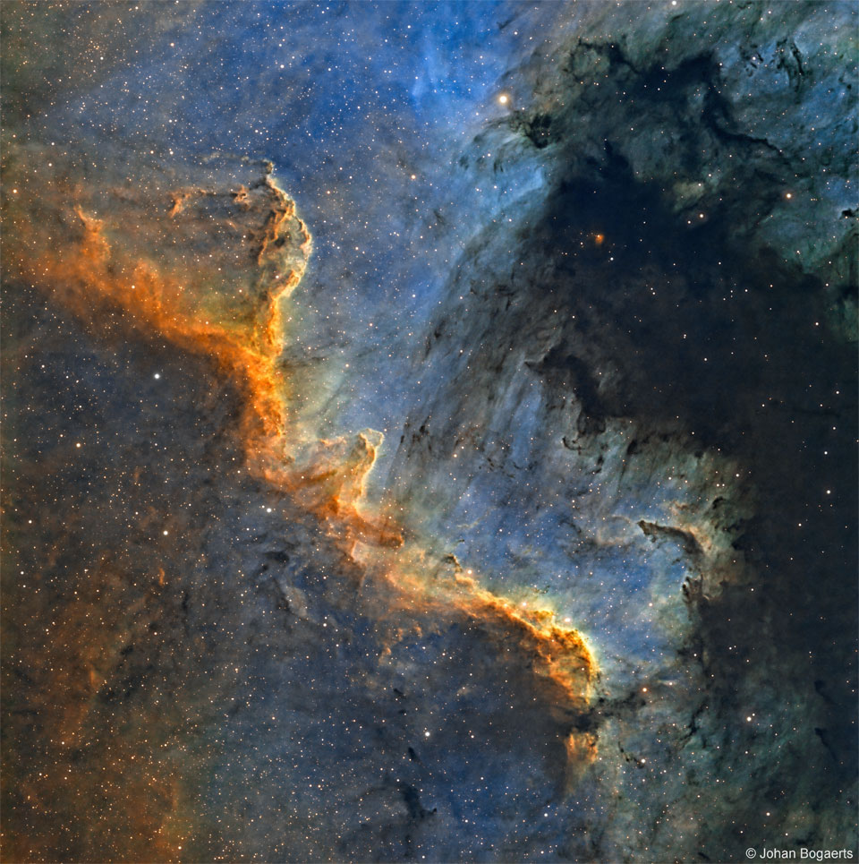 CygnusWall_Bogaerts_960.jpg