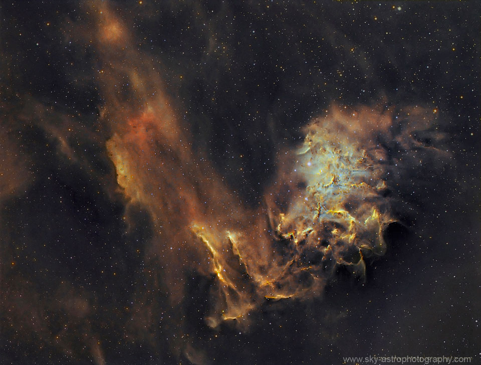 FlamingStar_Vargas_960.jpg
