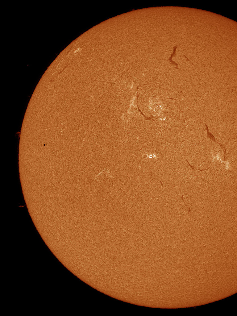 HB-G-1254amToMcrop1024h.jpg