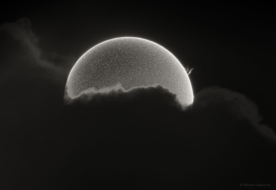 HalfSunProm_Colacurcio_960.jpg