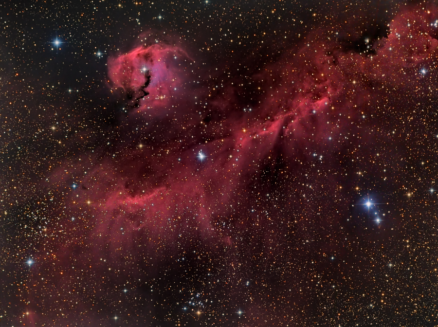 IC2177Seagull_boren900.jpg