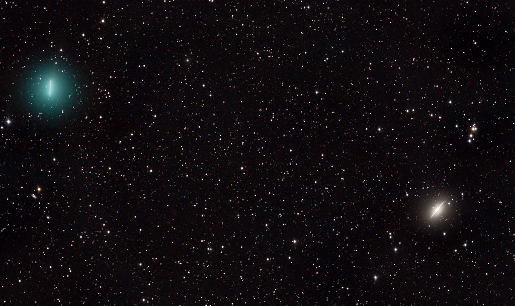 Iwamoto-104-2019griffin_1024.jpg