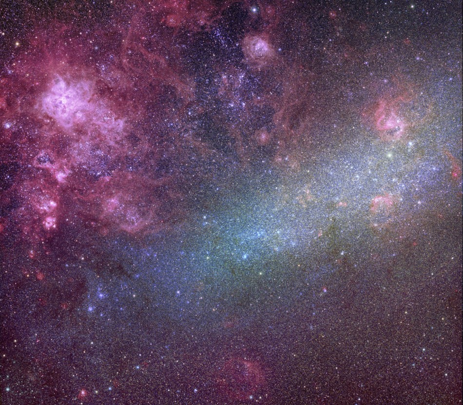 LMC_gleason_950c.jpg