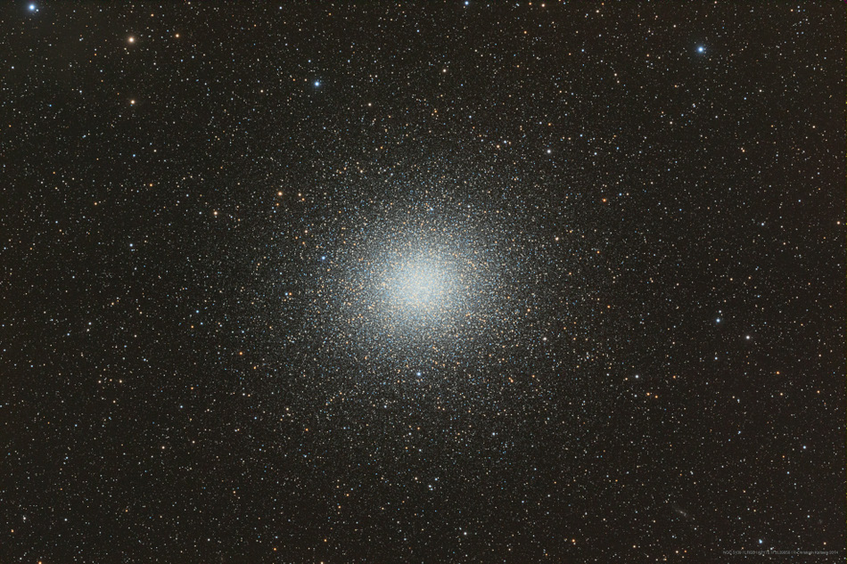 N5139-2_cedic950.jpg