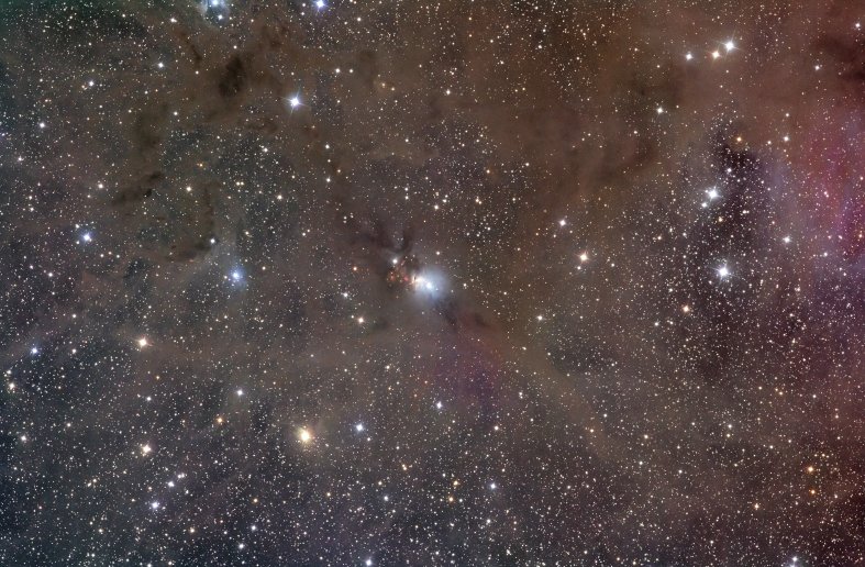 NGC1333_Lunglhofer800c.jpg