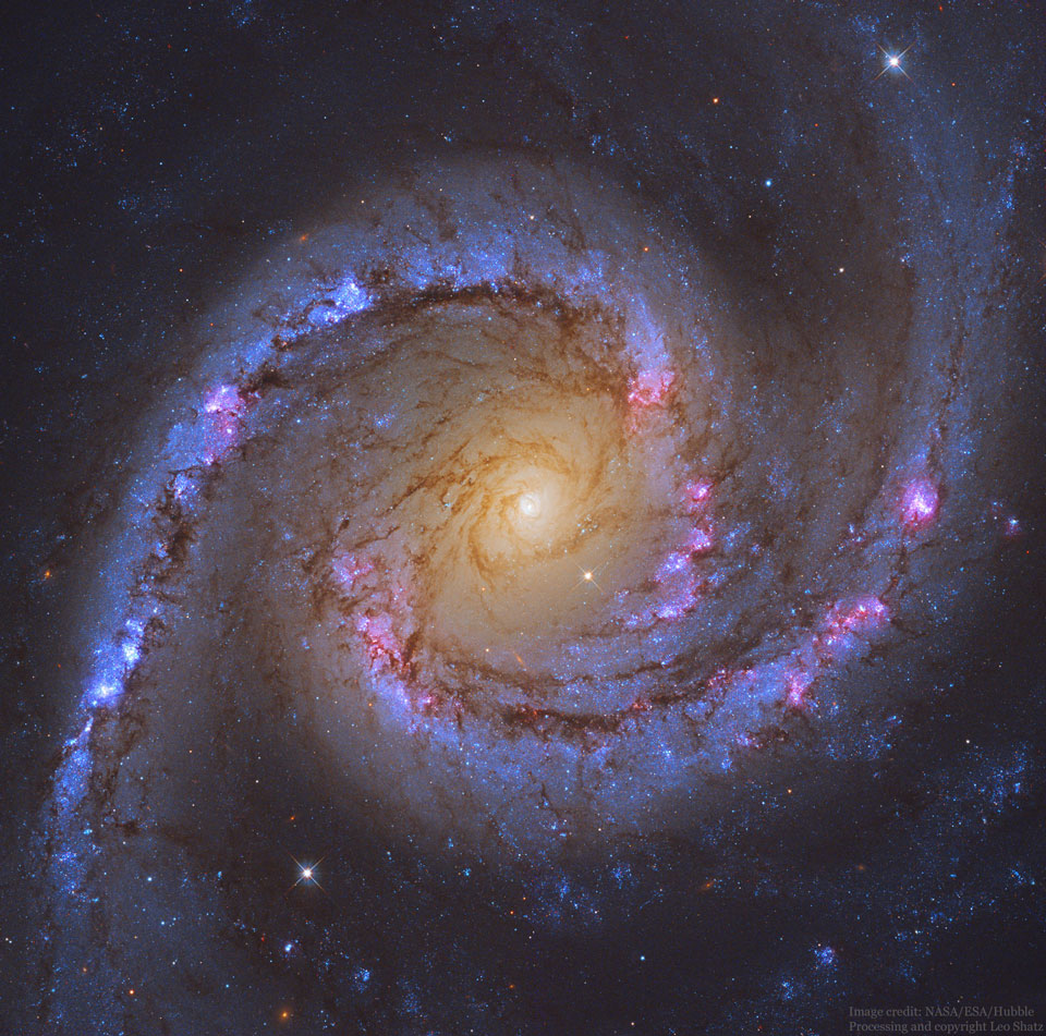 NGC1566_Shatz_960d.jpg