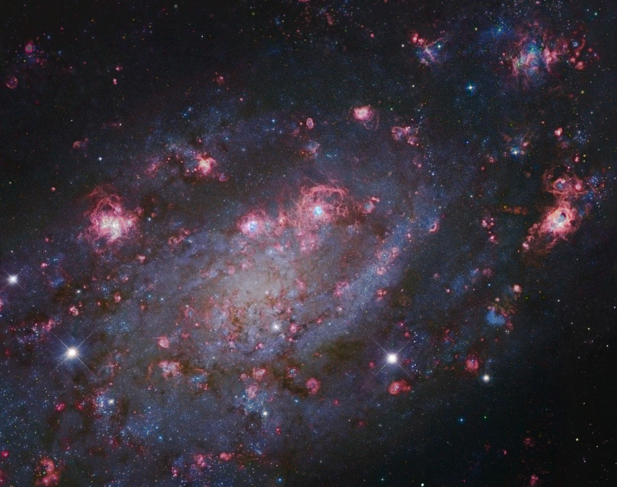 NGC2403-Subaru-HST-S900.jpg
