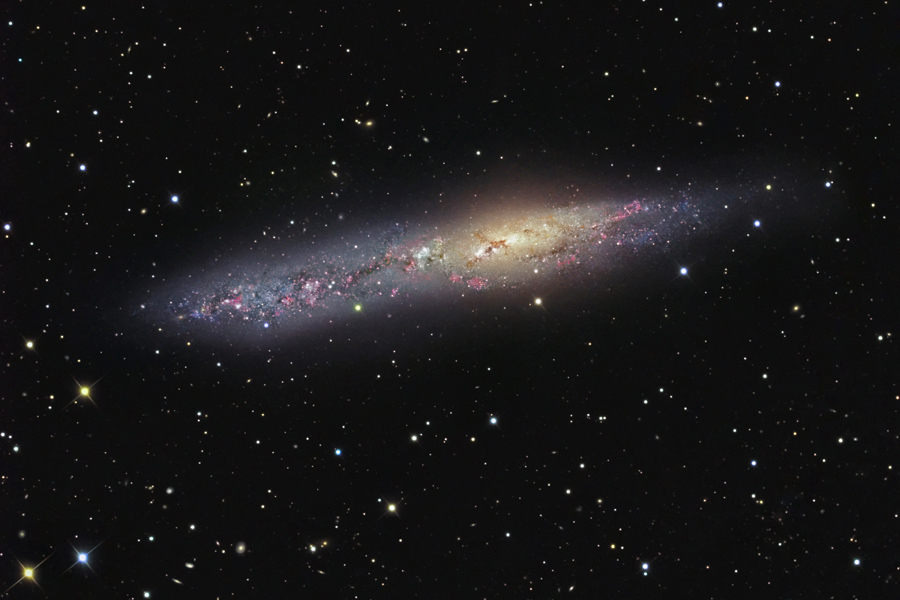 NGC55Web4_goldman900.jpg