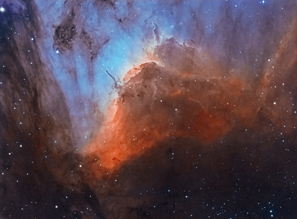 Pelican_bi_colour_Wager1024.jpg