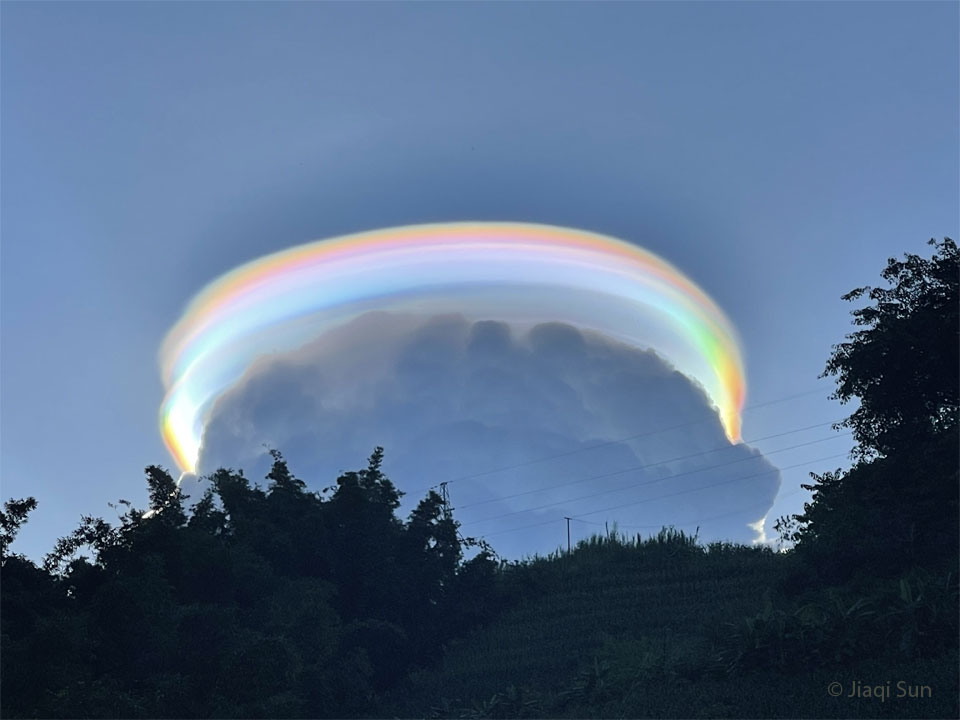 Pileus_Jiaqi_960.jpg