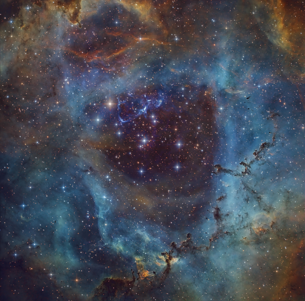 Rosette2024newt533mmcopy1024.png