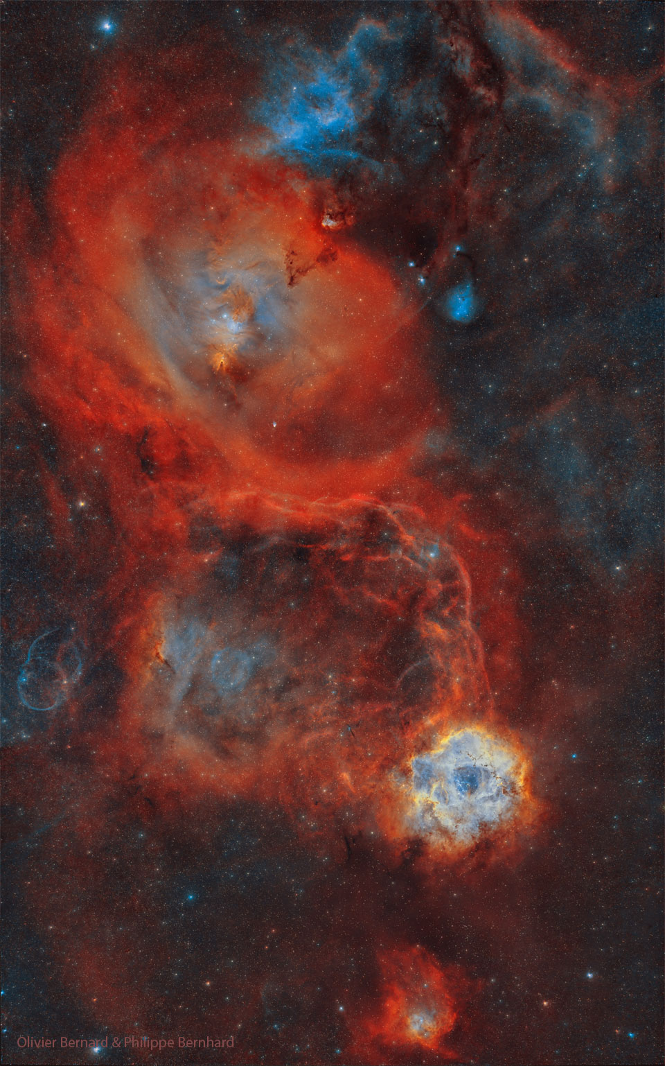 RosetteCone_Bernard_960.jpg