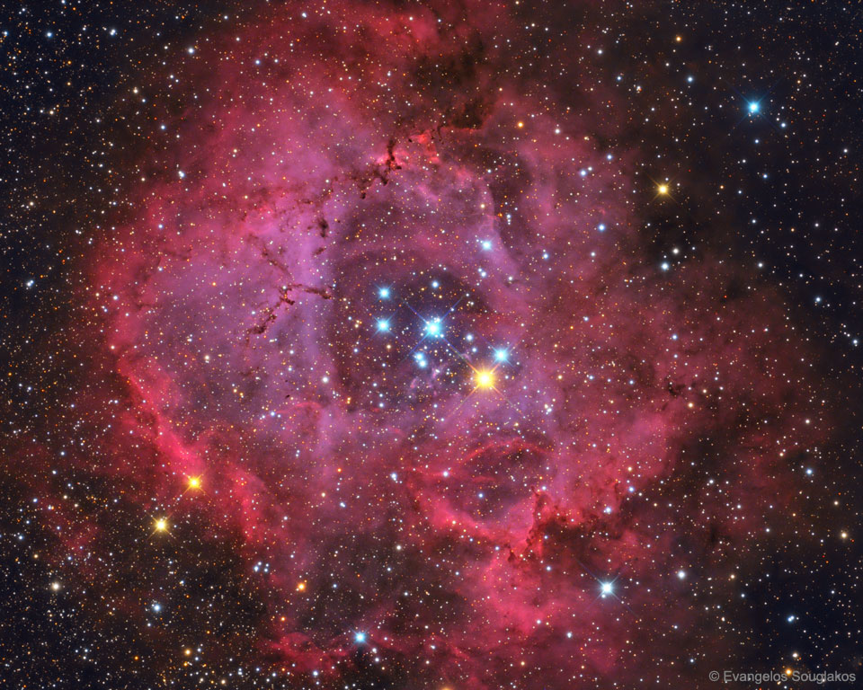 Rosette_Souglakos_960.jpg