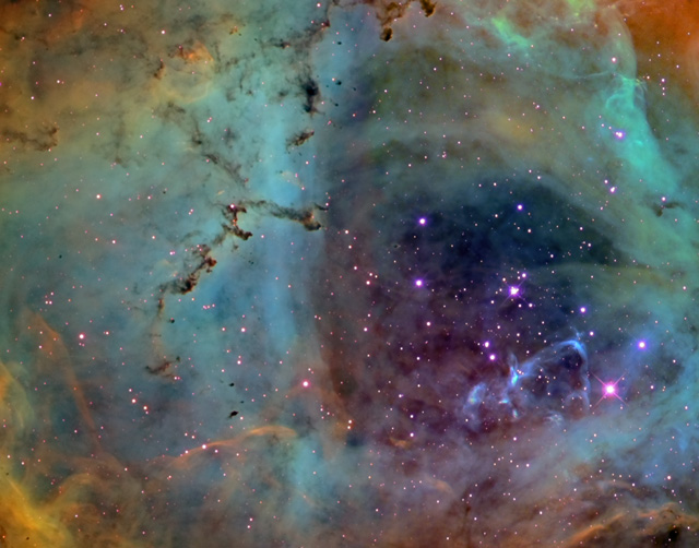 Rosette_ballauer_640.jpg