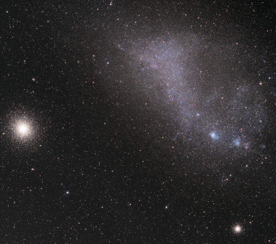 SMC_jarzyna_900c.jpg