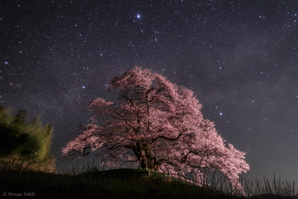 SummerTriangles_Takei_1000.jpg