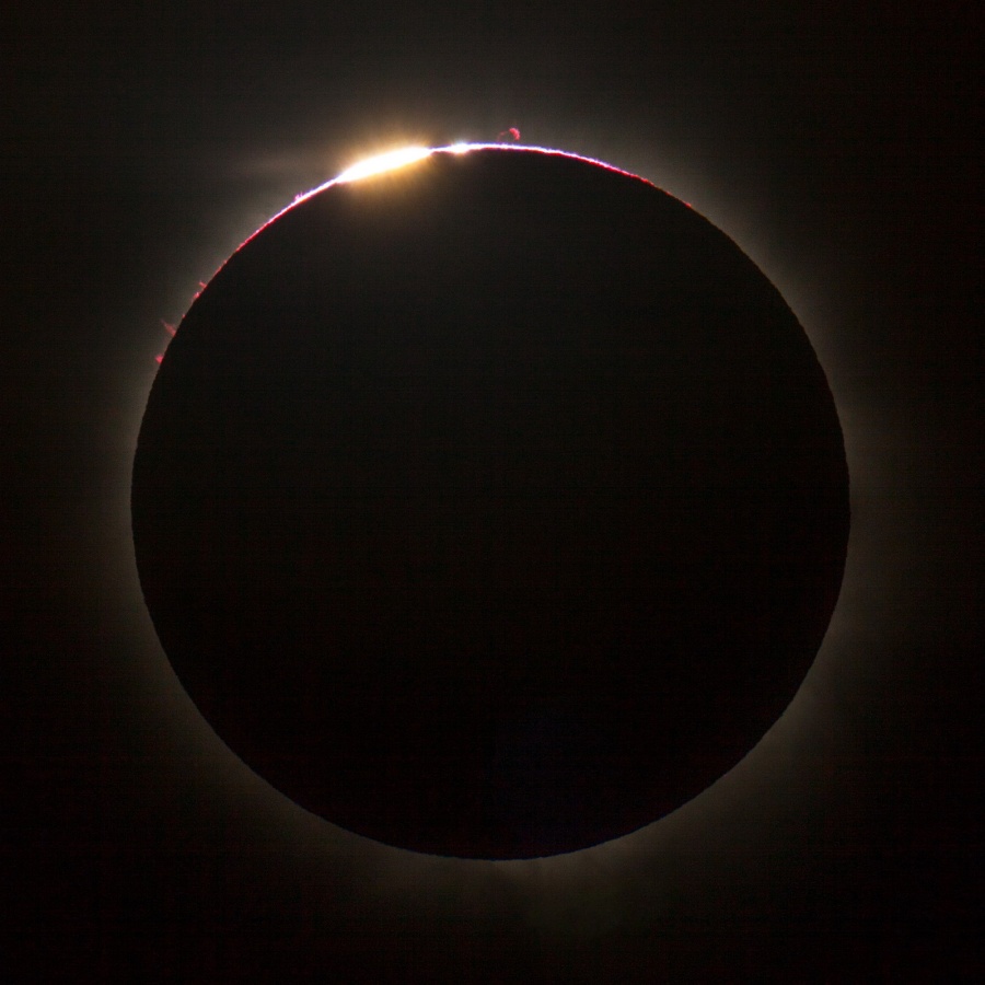 TSE2012PhilHart_6999_900px.jpg