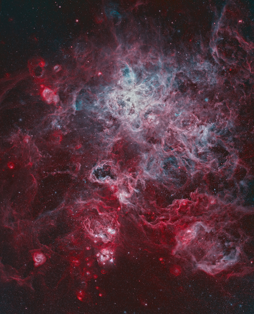 Tarantula_HOO_final_2_1024.jpg