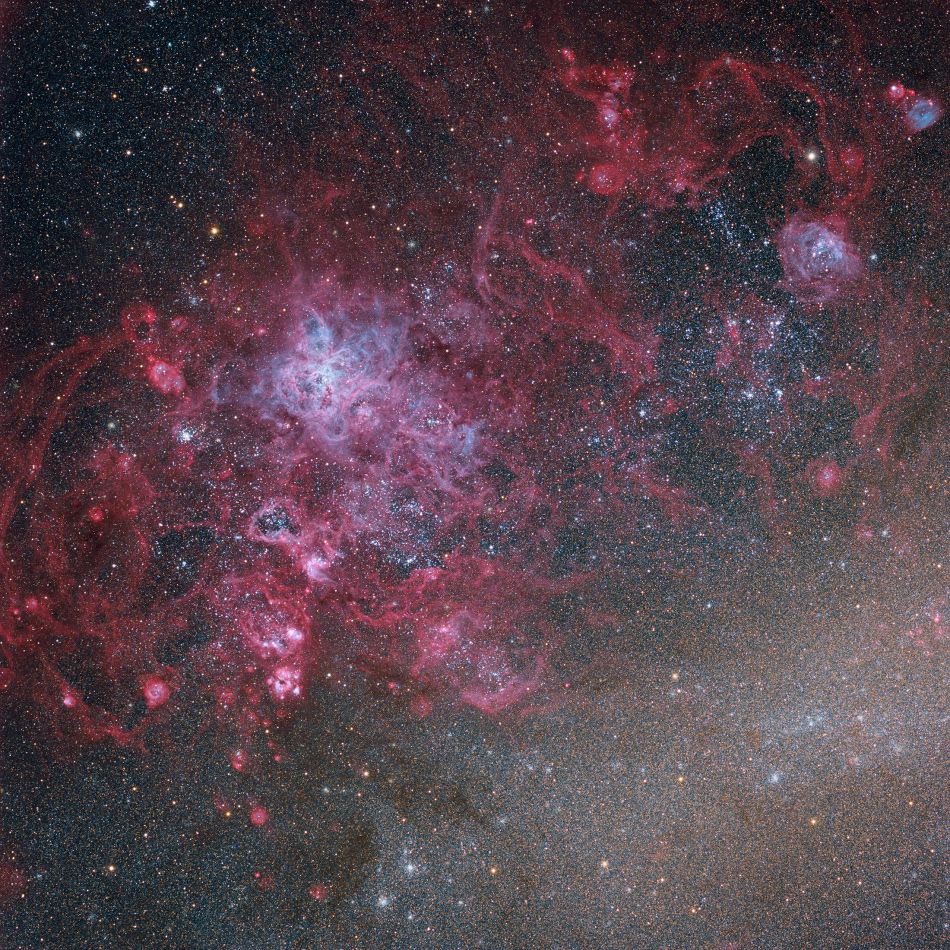 Tarantula_HaOIIILRGB_lorenzi950.jpg
