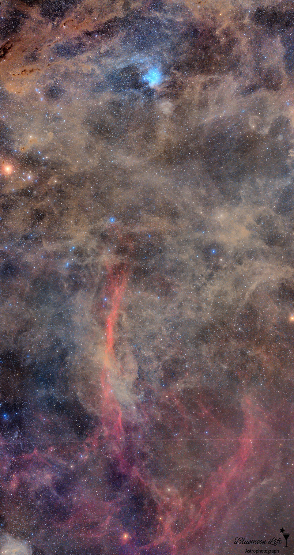 Taurus2Eridanus_Okubo_960.jpg