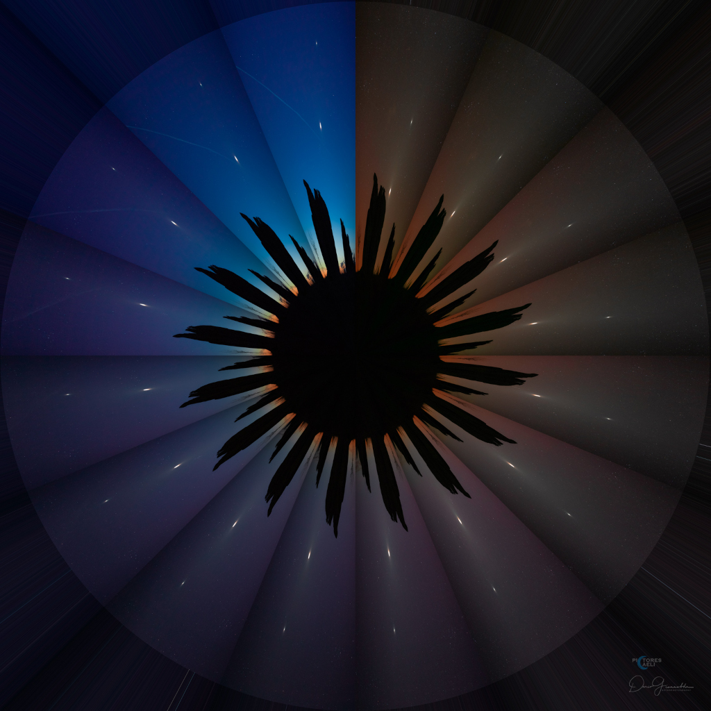 TwilightFlower1024.jpg