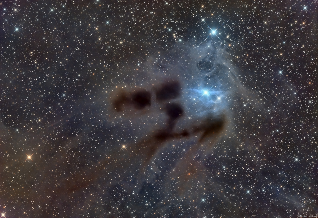 Vdb31_Astrobin1024.jpg