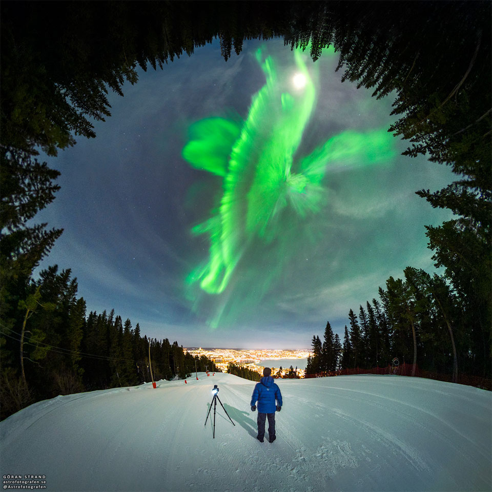 WhaleAurora_Strand_960.jpg