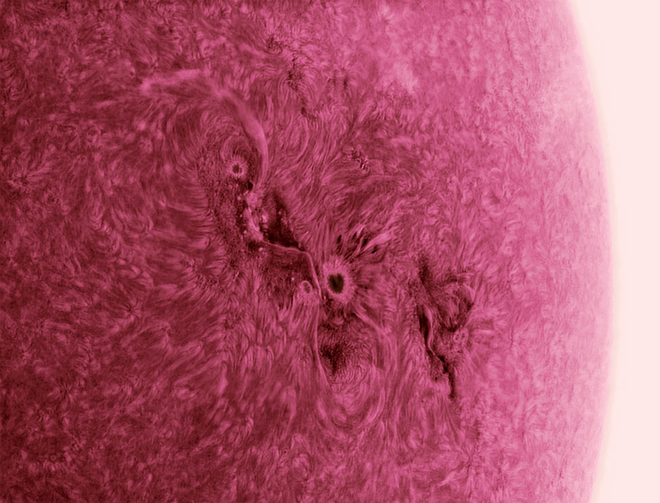 angrysun_friedman_960.jpg