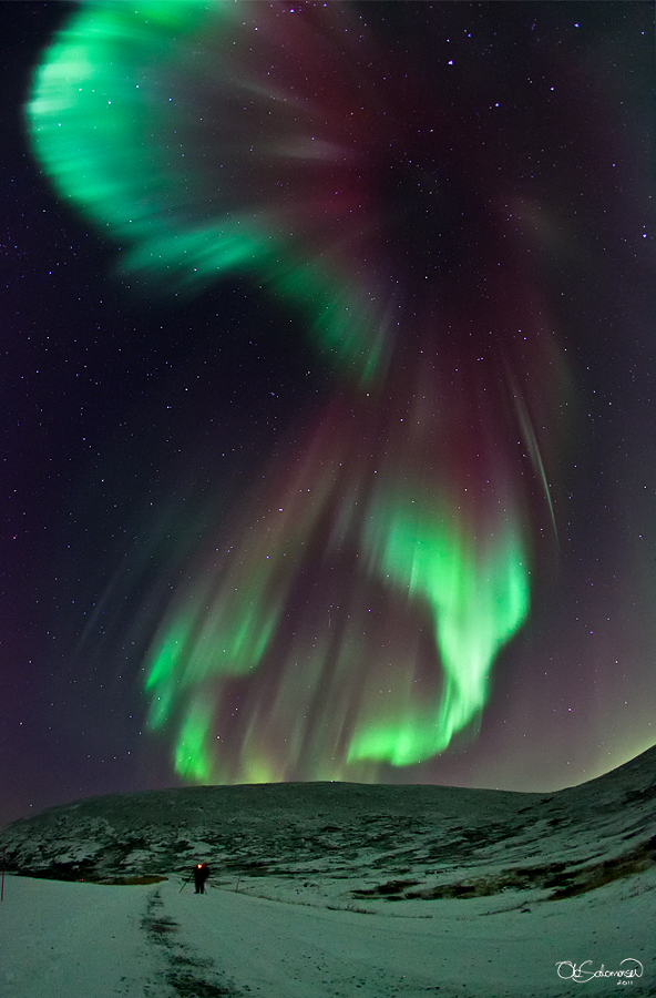 aurora2_salomonsen_900h.jpg