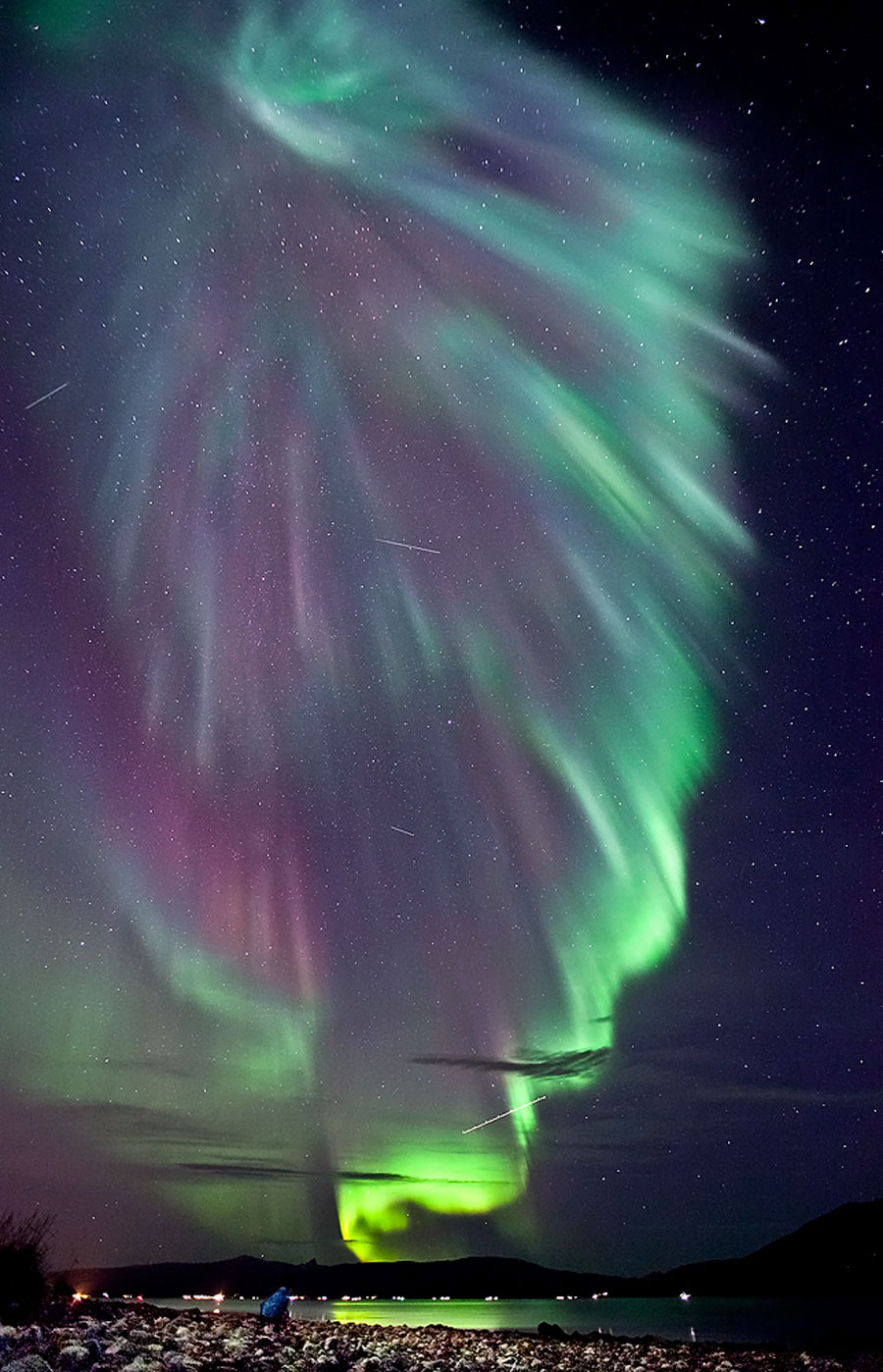 aurora_salomonsen.jpg