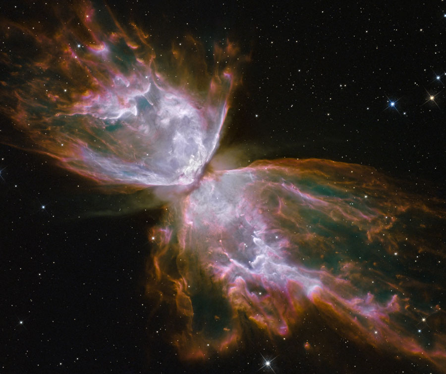 butterfly2_hst_900.jpg