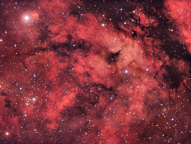 cygnus_cannistra.jpg