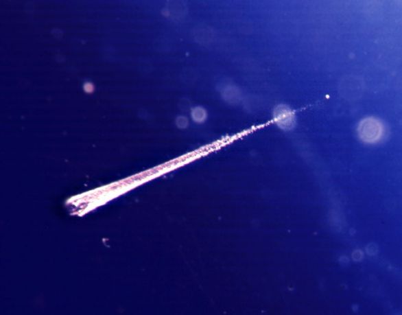 dusttrk_stardust_c1.jpg