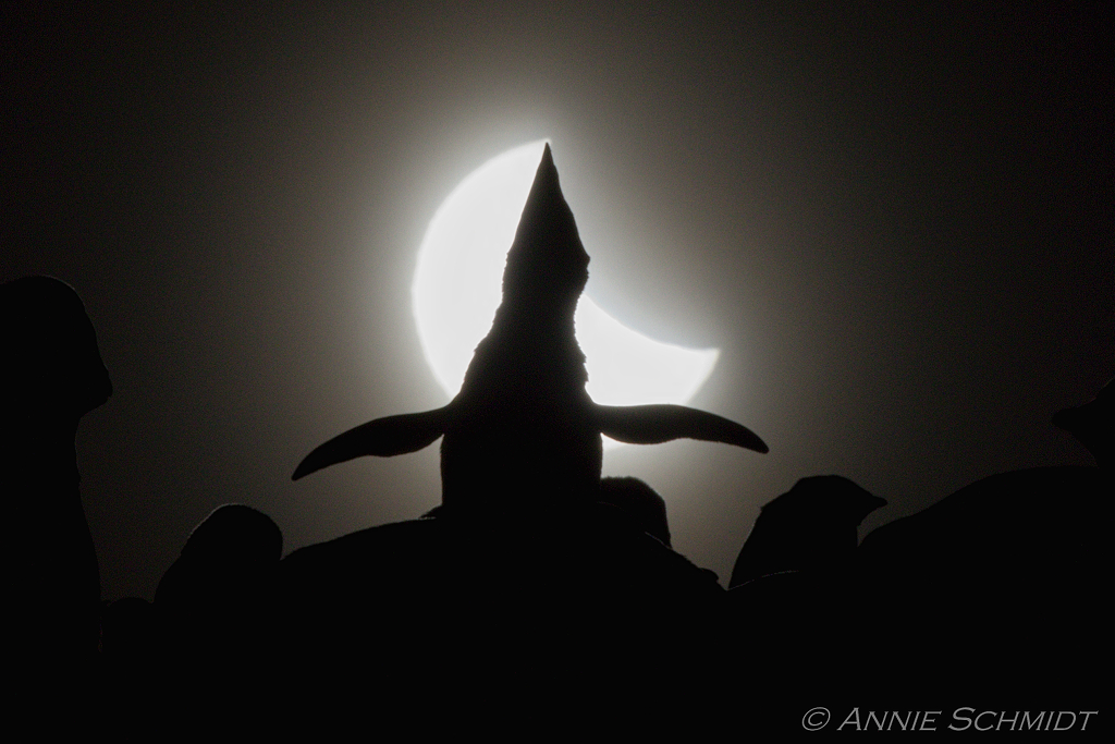 eclipse_EV1024.jpg