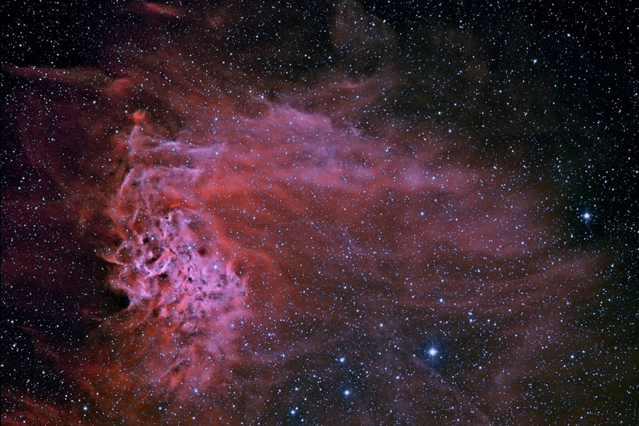 flamingstar_garcia.jpg