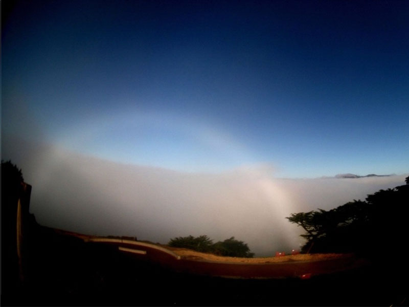 fogbow_zinkova.jpg