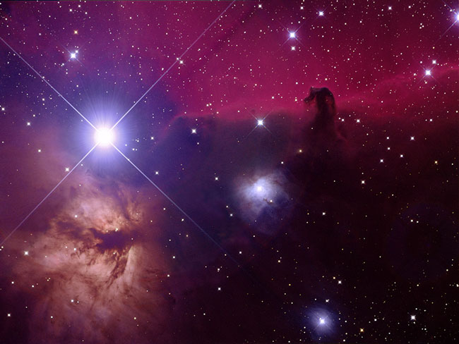 horsehead_tan.jpg