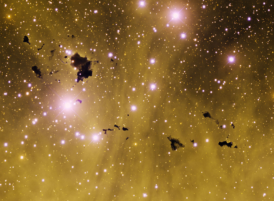 ic2944_blanco_960.jpg