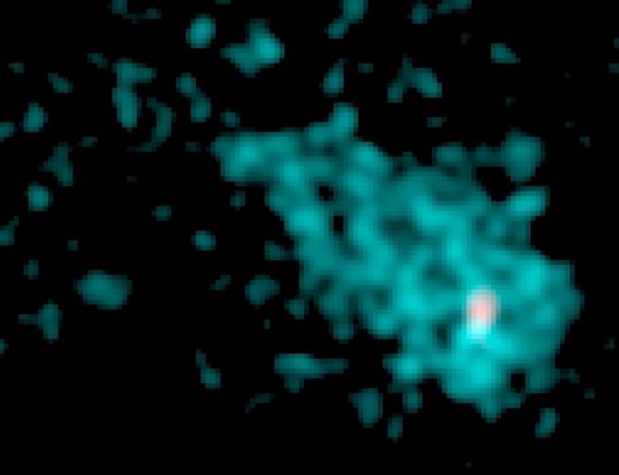 ic443ns_cxc.jpg