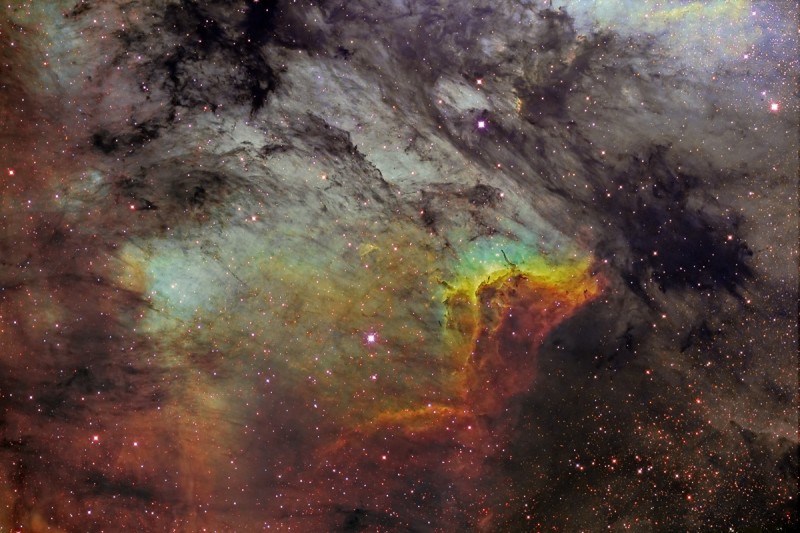 ic5070_fernandez800.jpg