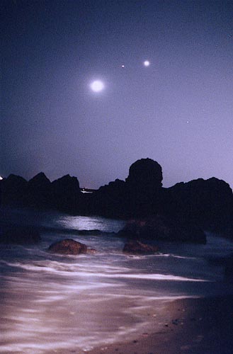 laguna_pacholka.jpg