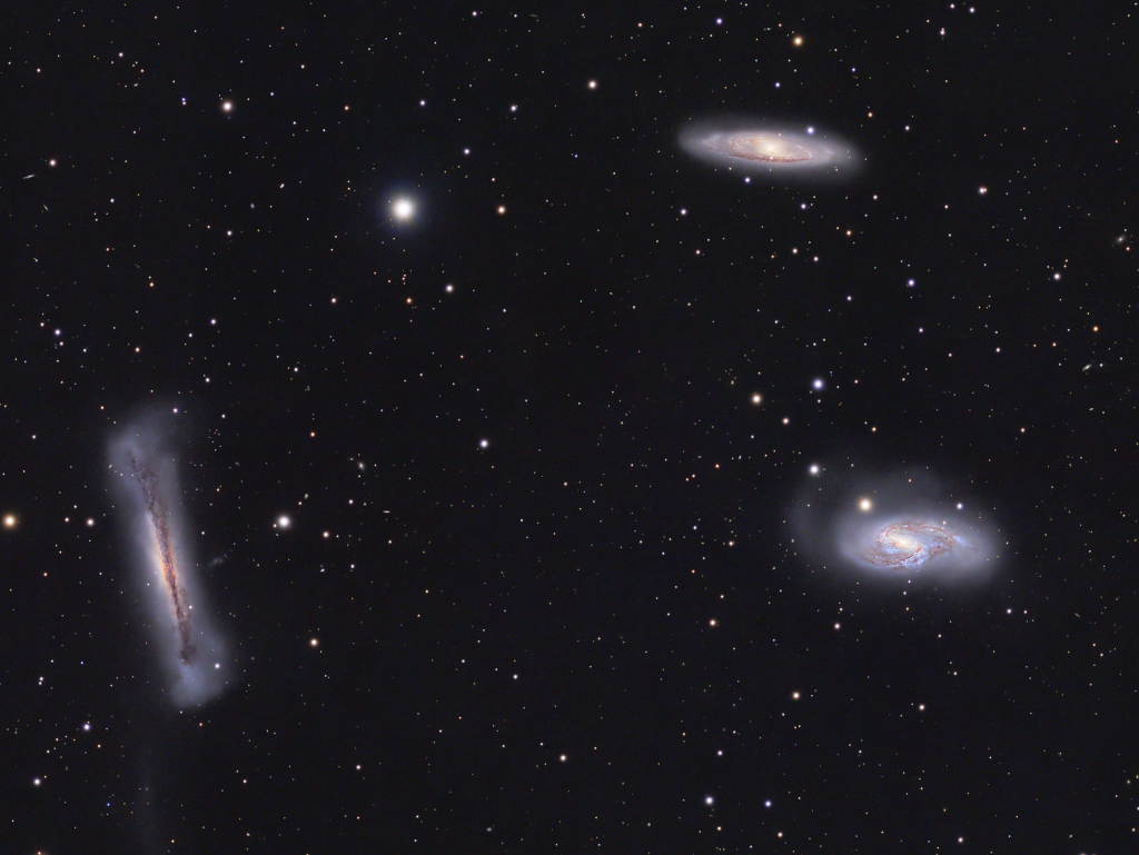 leotripletasi294large1024.jpg