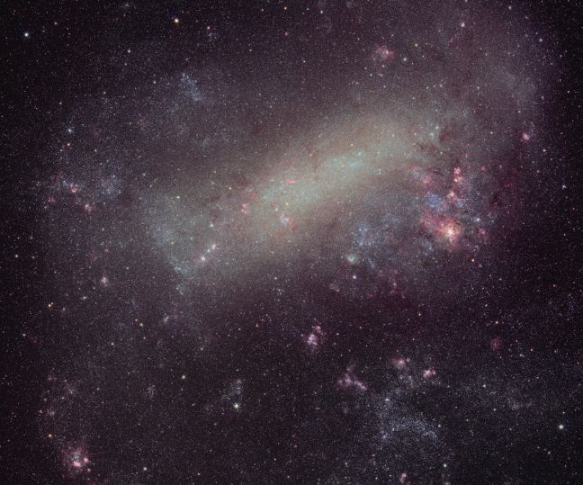 lmc_tan_c1.jpg