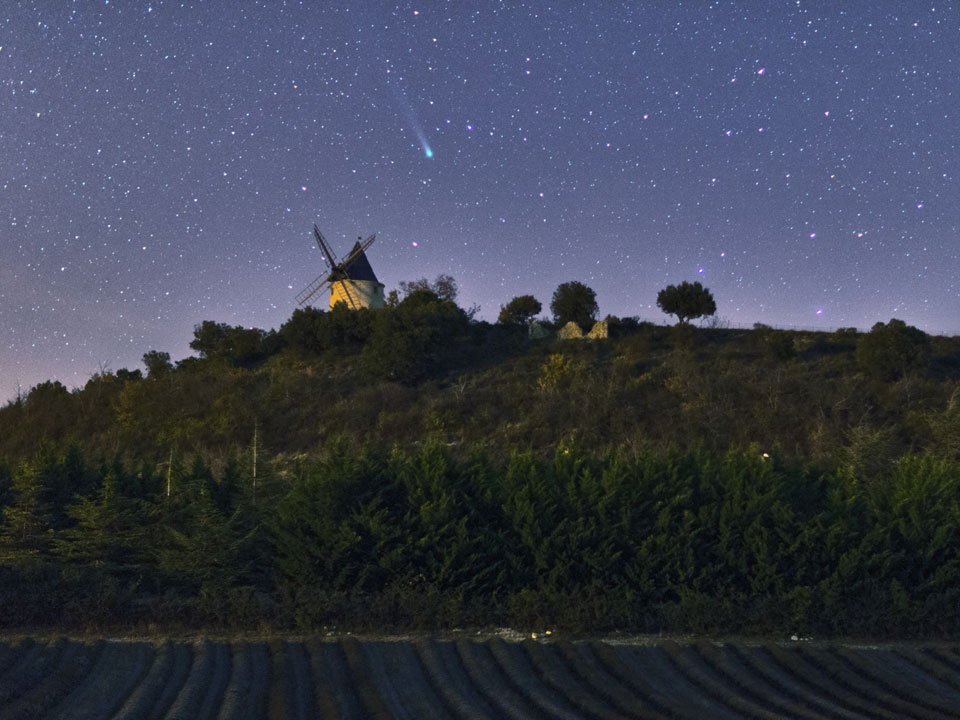 lovejoy_hackmann_960.jpg